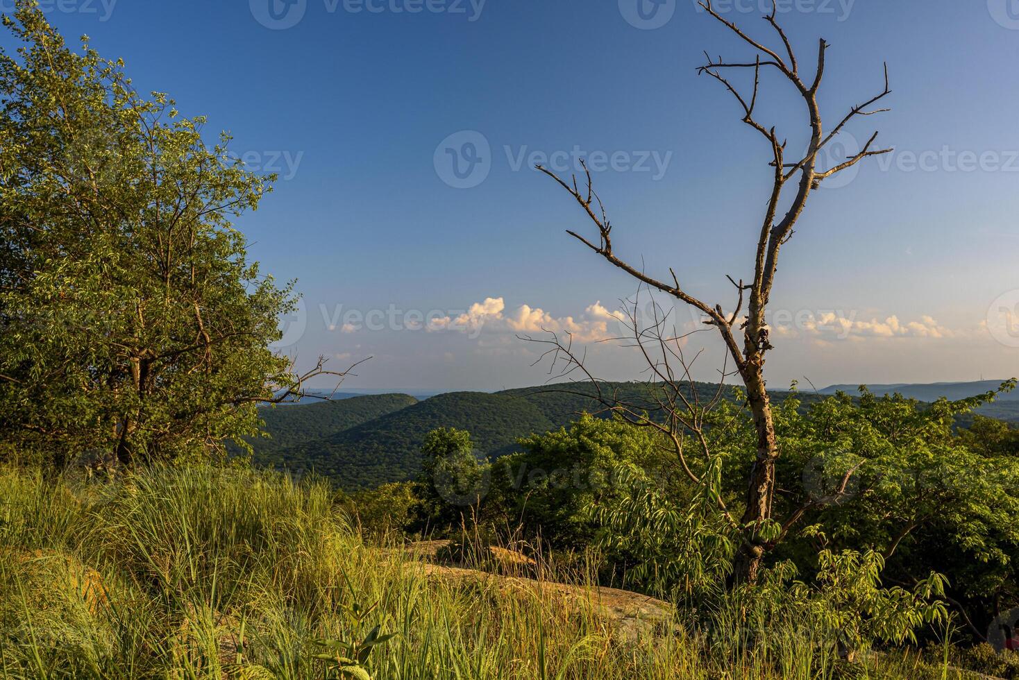Hot Day on Bear Mountain photo