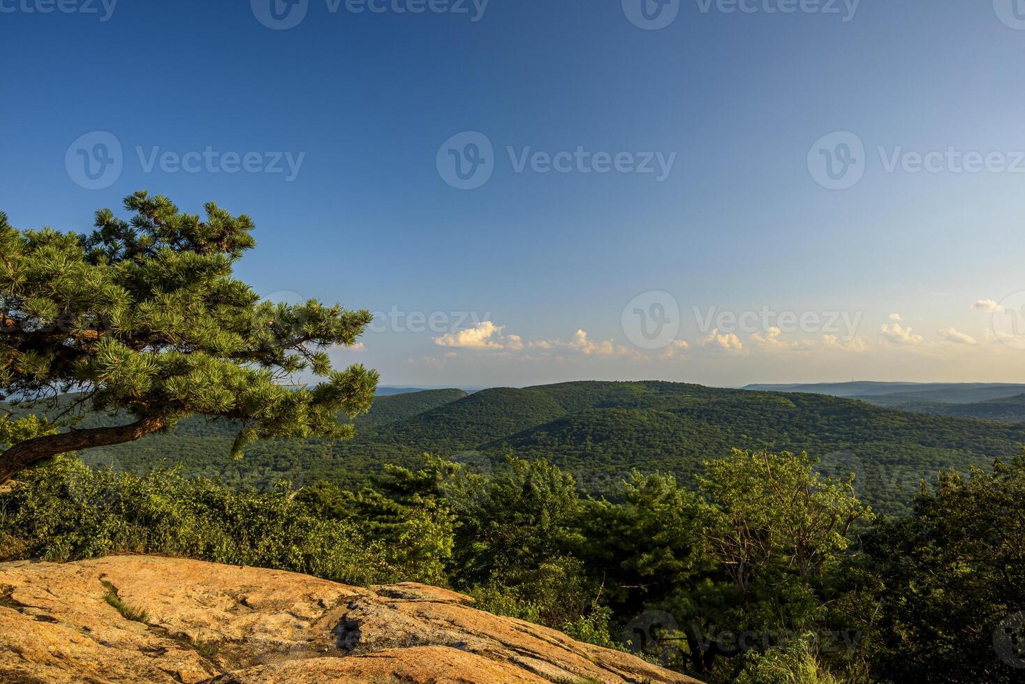 Hot Day on Bear Mountain photo