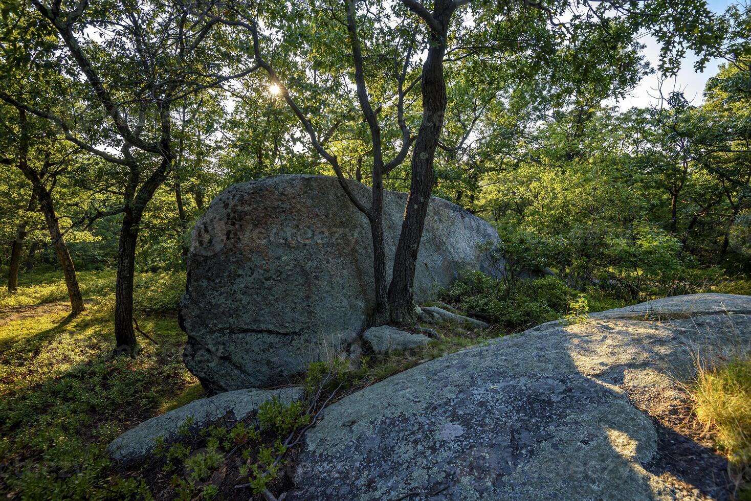 Hot Day on Bear Mountain photo