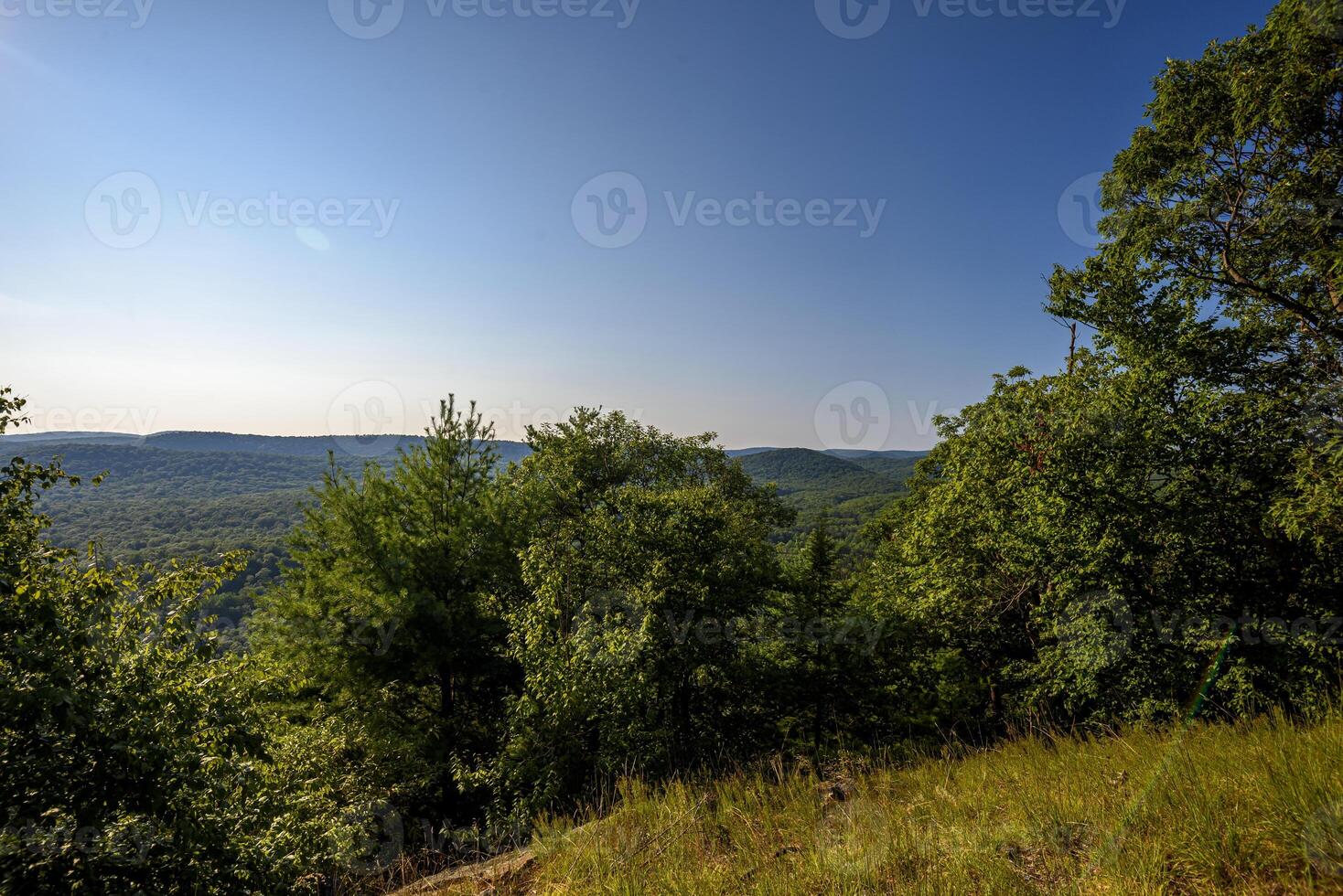 Hot Day on Bear Mountain photo