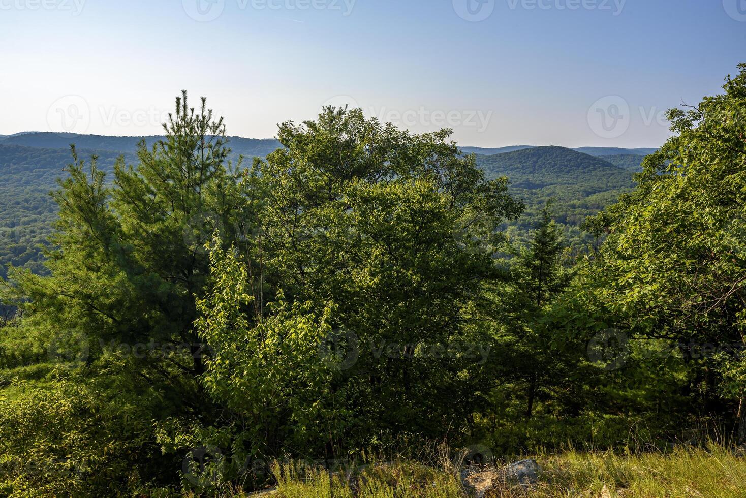 Hot Day on Bear Mountain photo
