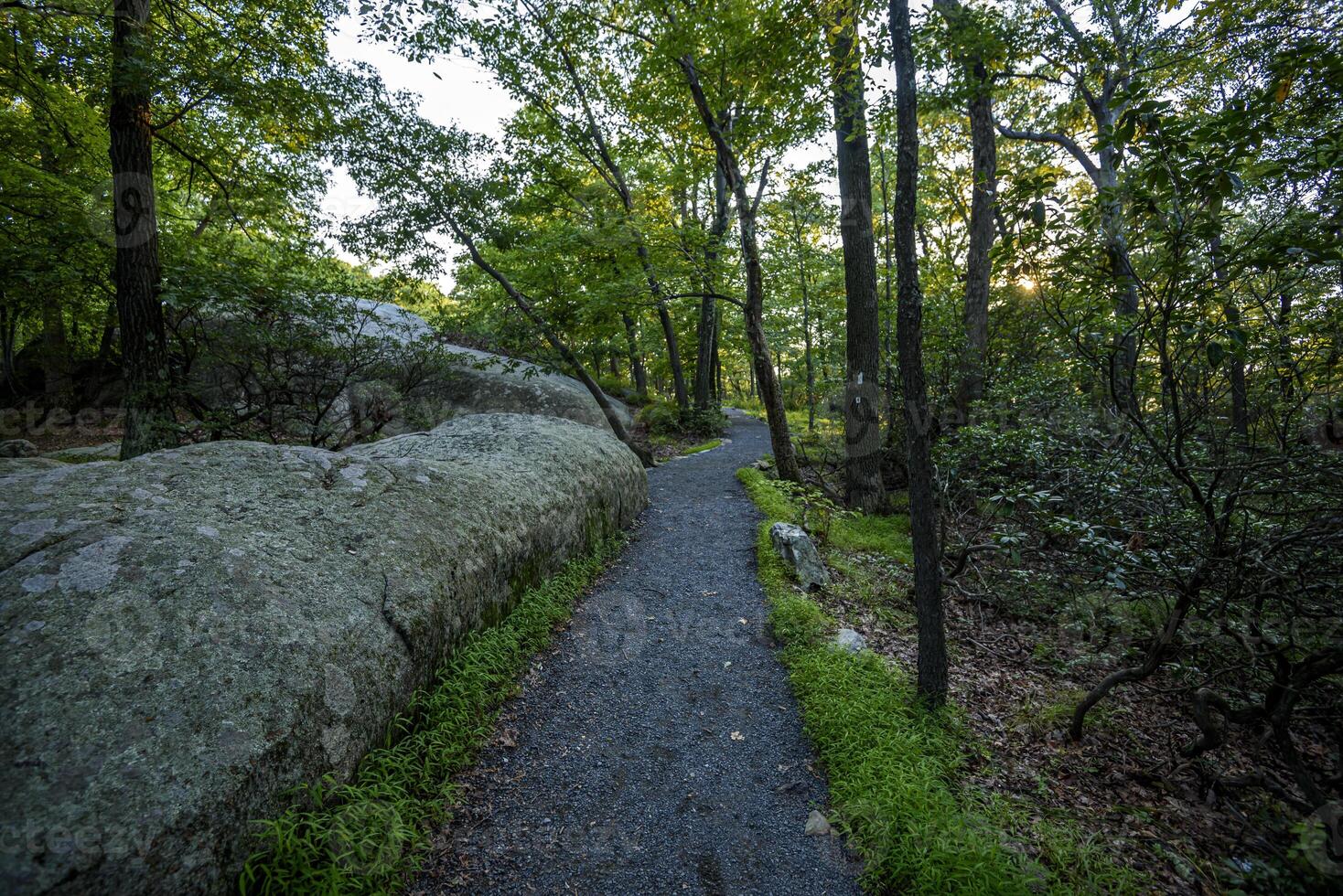 Hot Day on Bear Mountain photo