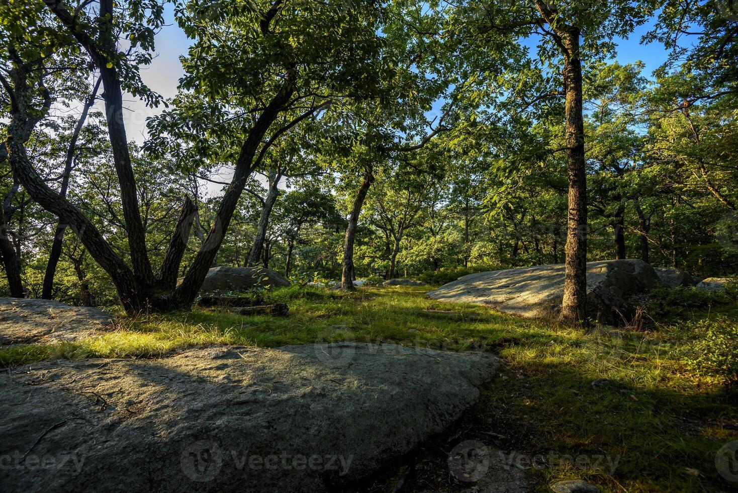 Hot Day on Bear Mountain photo