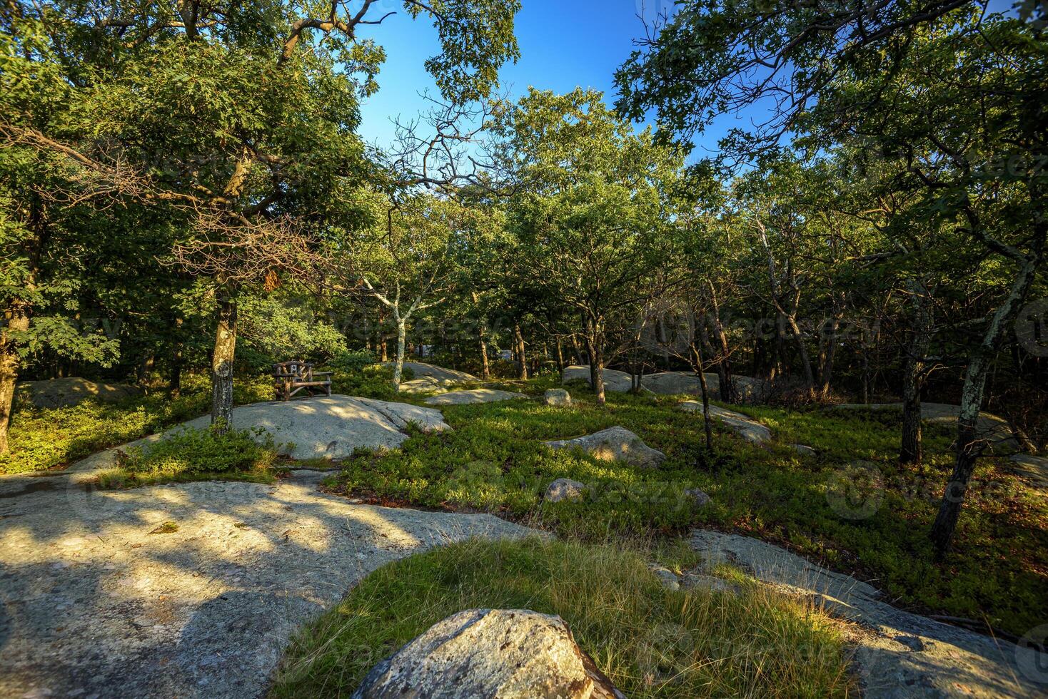 Hot Day on Bear Mountain photo