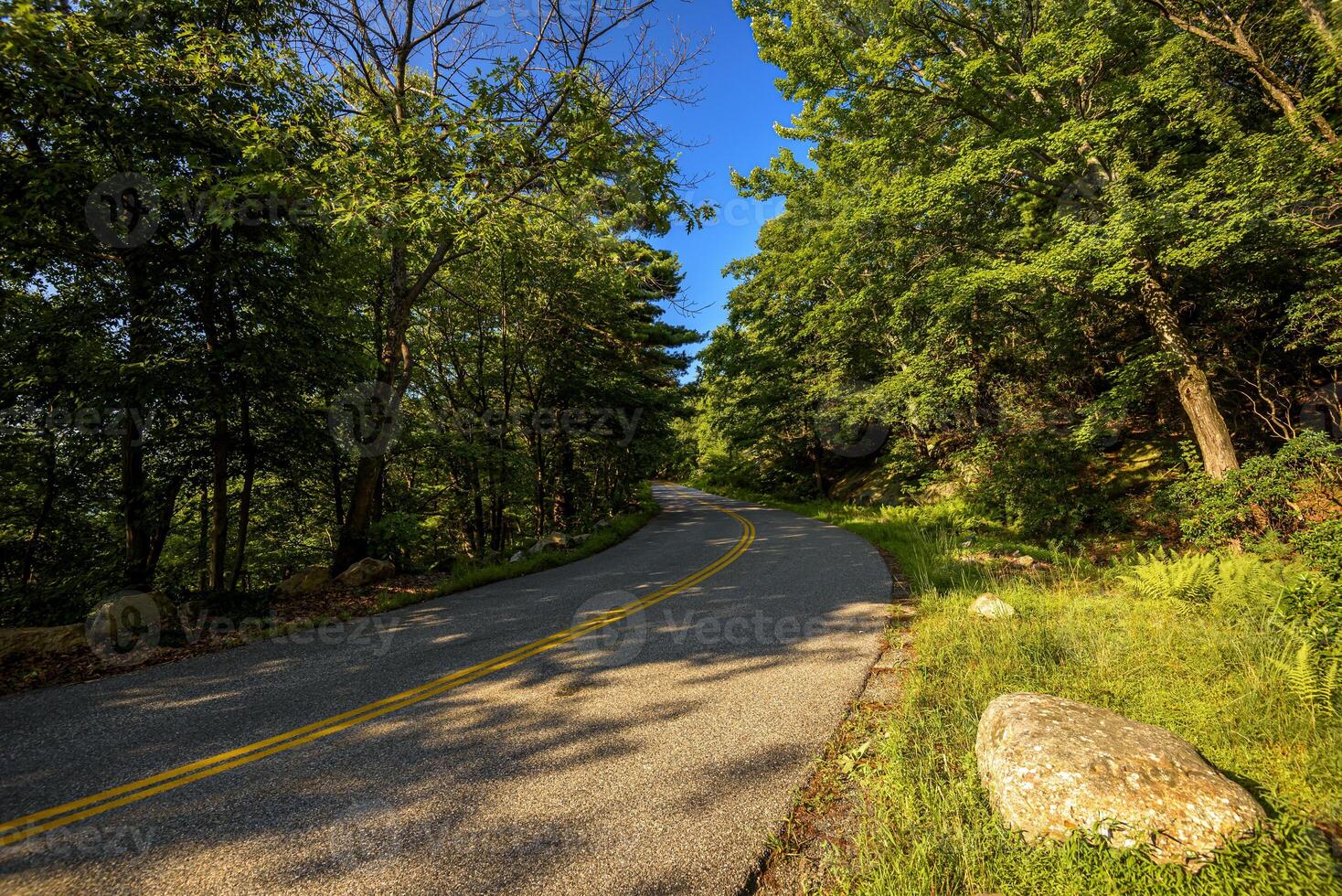 Hot Day on Bear Mountain photo