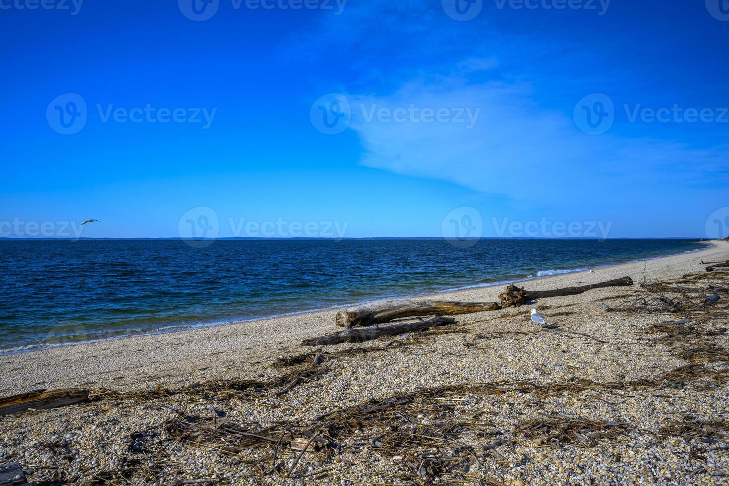Long Island Beaches photo