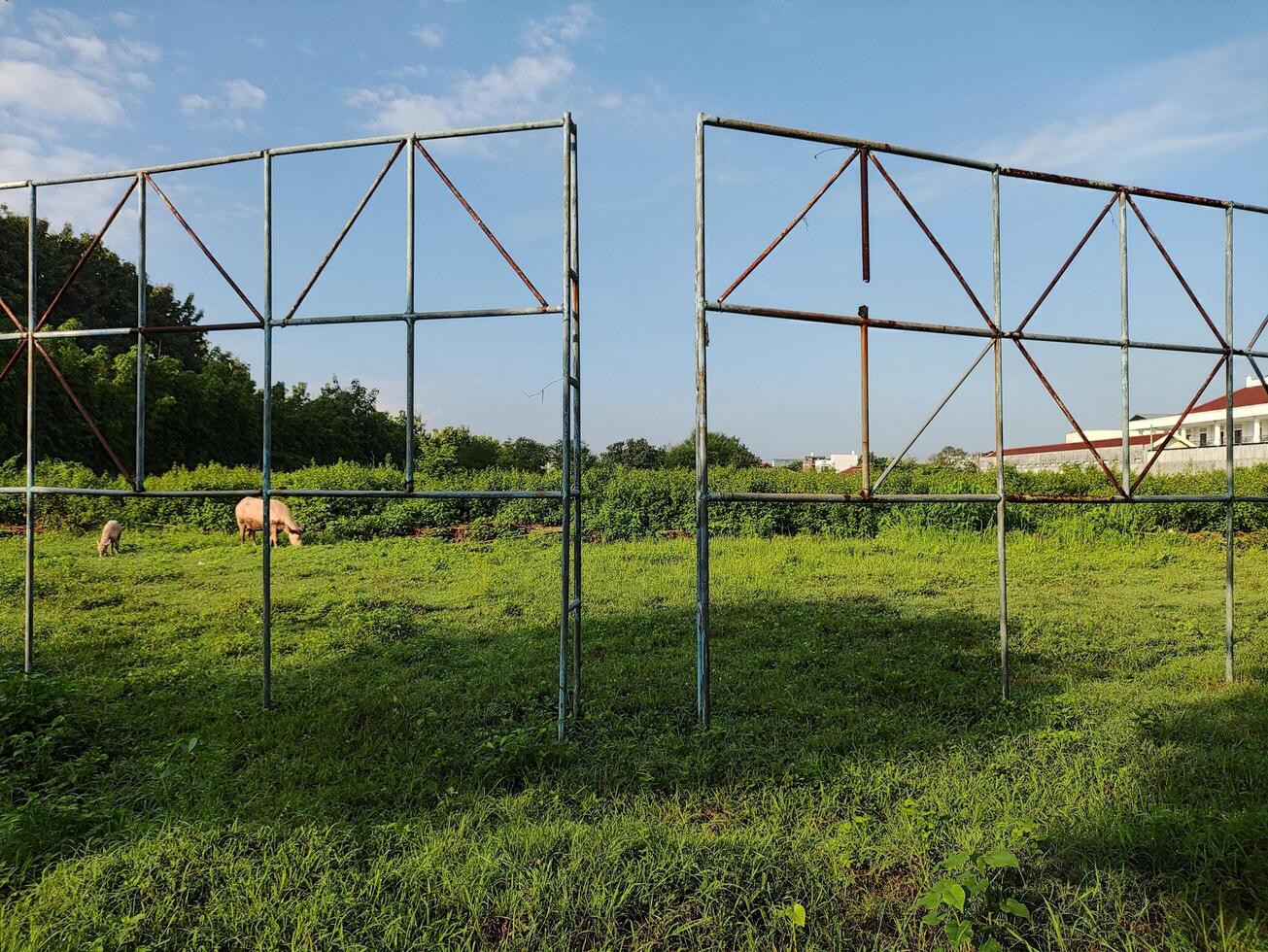 Scenic view of field against sky photo