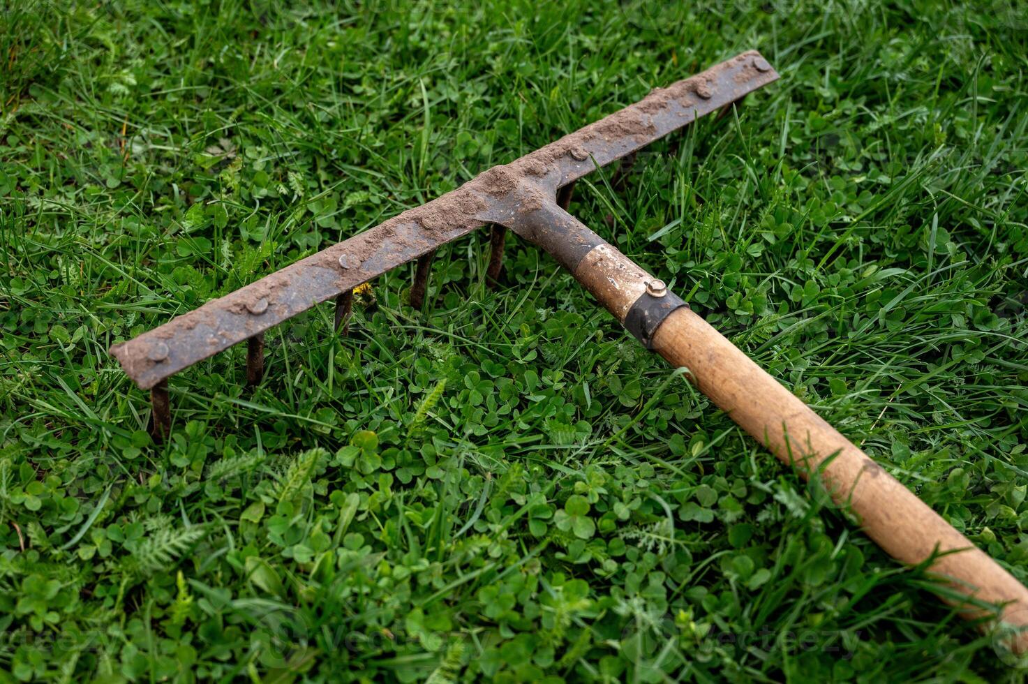 garden rake on green grass in the garden. Selective focus. photo
