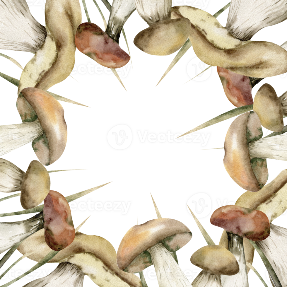 Herbst Blumen- Pilz rahmen. Platz Grenze, Aquarell Hand gezeichnet Pilz botanisch Vorlage. Wald Gras, Weiß Pilz Steinpilze. Clip Kunst zum gemütlich fallen, Ernte Jahreszeit Karte, Einladung Design png