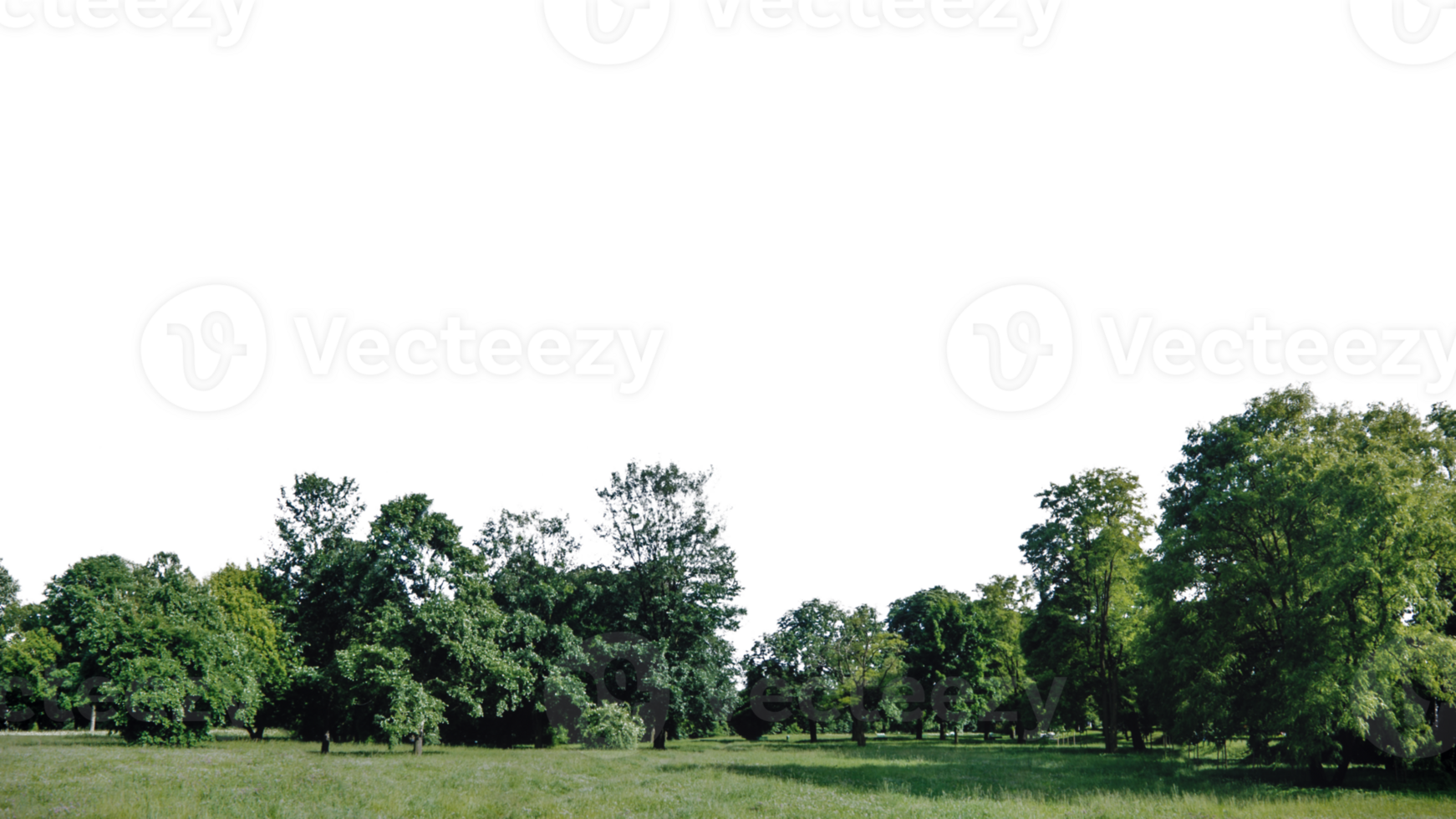 klaar naar toevoegen een tintje van groen naar uw digitaal projecten onderzoeken onze verzameling nu en omhelzing de schoonheid van natuur met onze verbijsterend achtergronden png