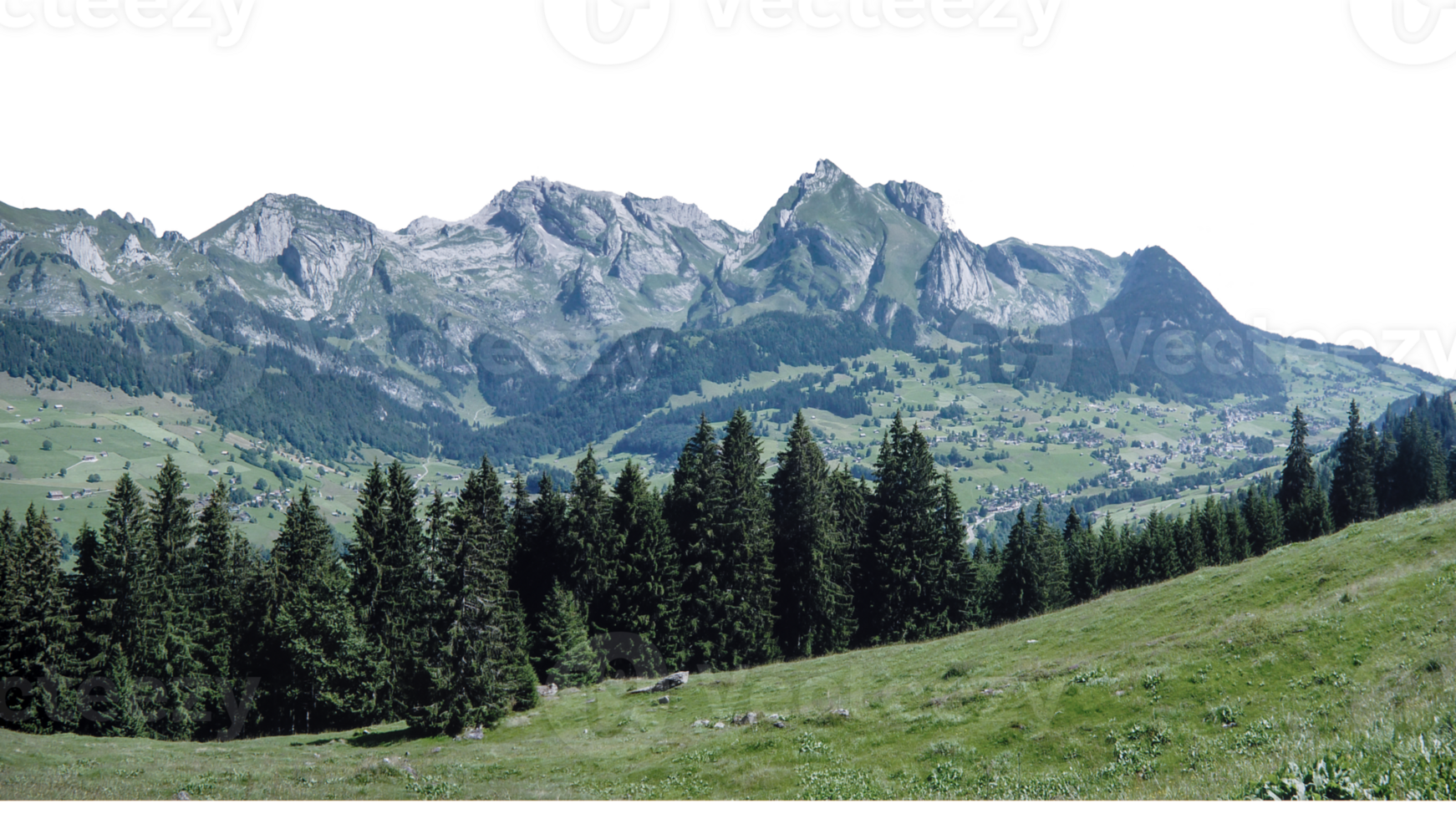 Ready to add a touch of greenery to your digital projects Explore our collection now and embrace the beauty of nature with our stunning backgrounds png