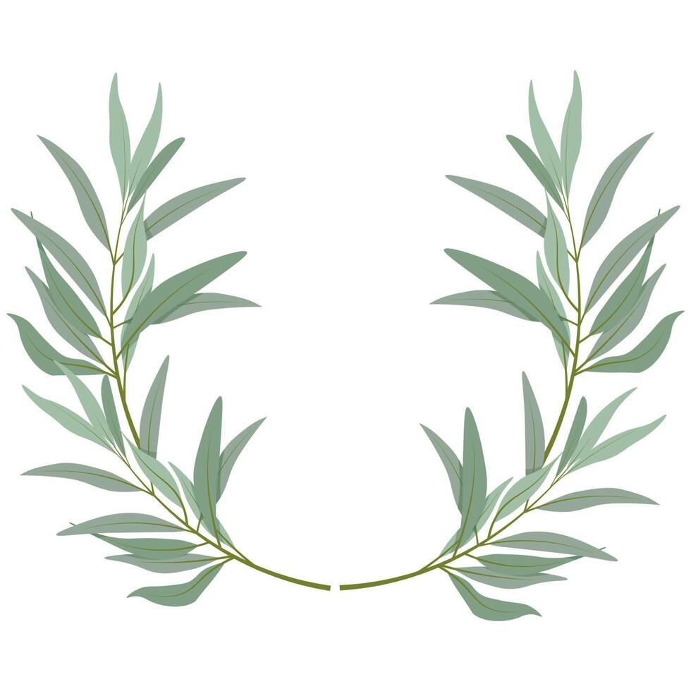 Composition of rounded olive branches vector