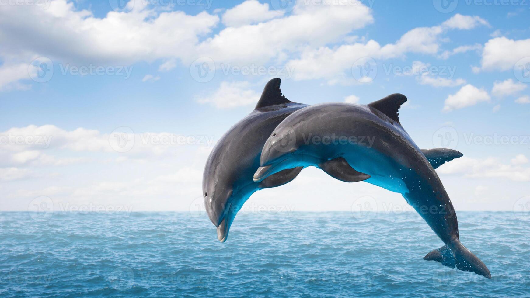 Young curious bottlenose dolphin smiles, playful common tursiops truncatus close-up swimming underwater. Jumping out of water photo