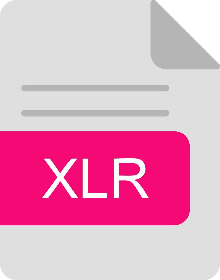 XLR File Format Flat Icon vector