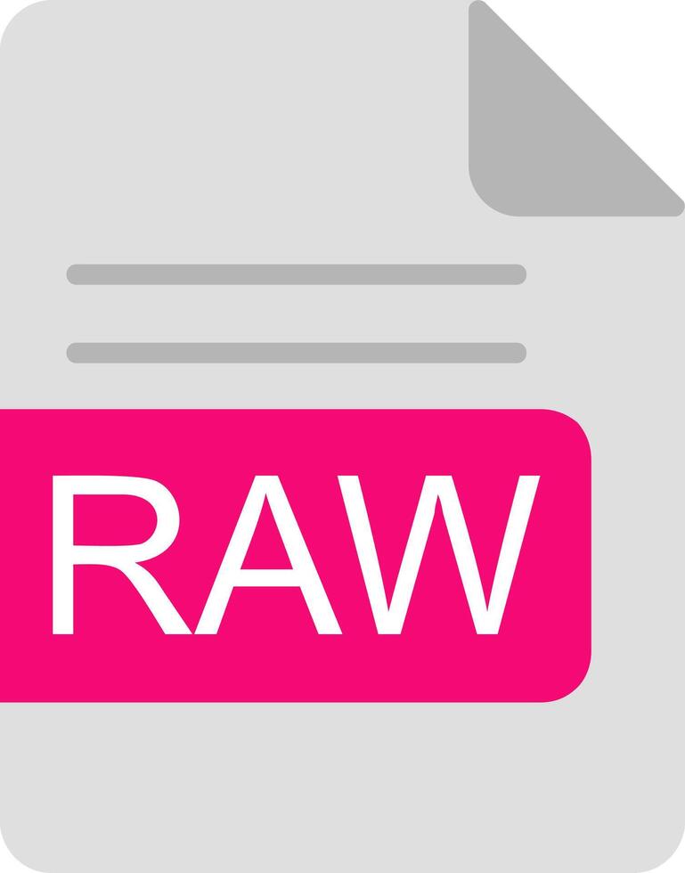 RAW File Format Flat Icon vector