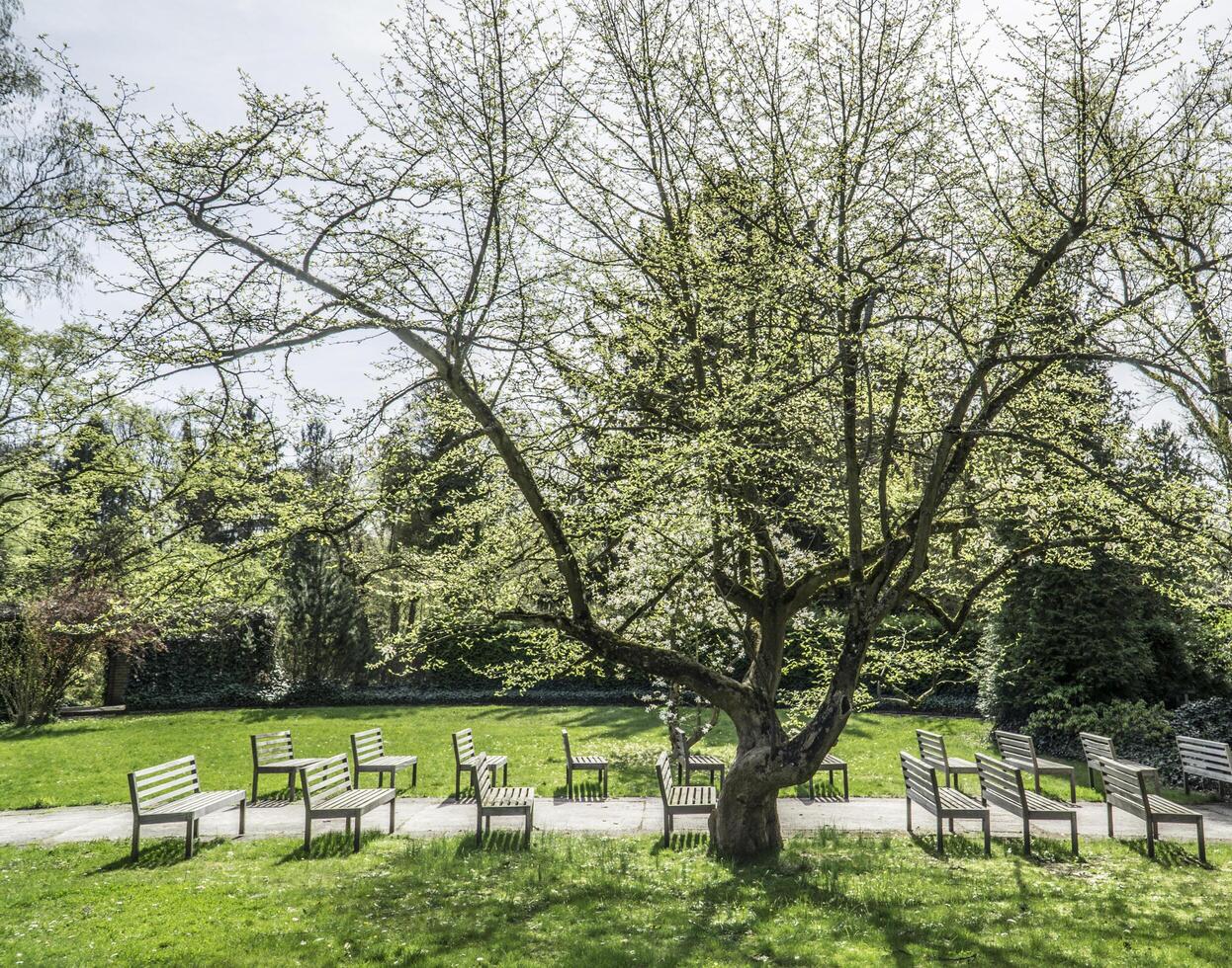 Zelazowa Wola, Poland - April 7th, 2024 - Benches in park - birthplace of Frederic Chopin photo