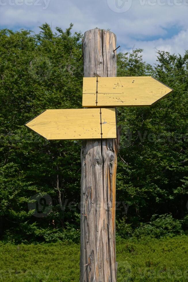 Wooden Signpost with Two Arrows photo