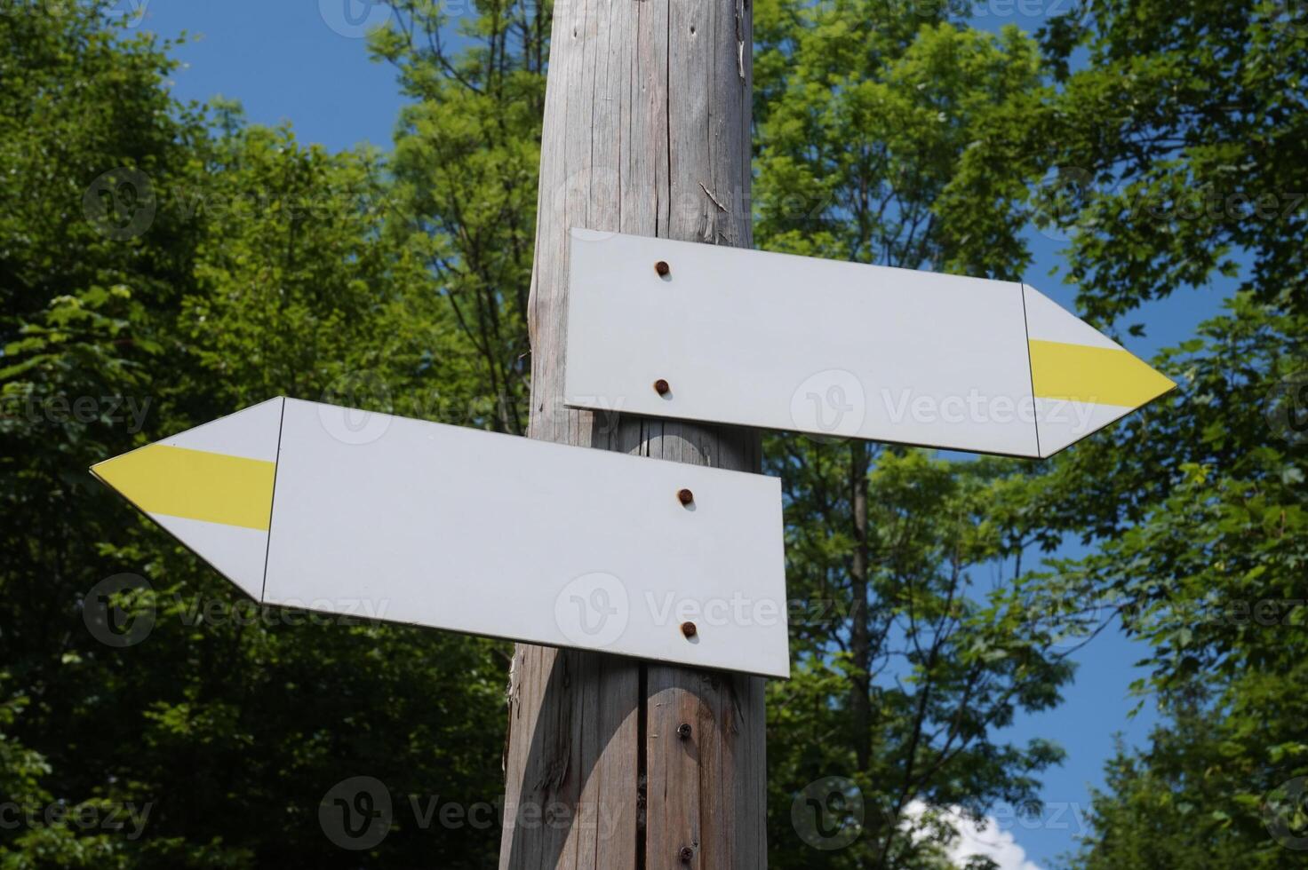 Wooden Signpost with Two Arrows photo