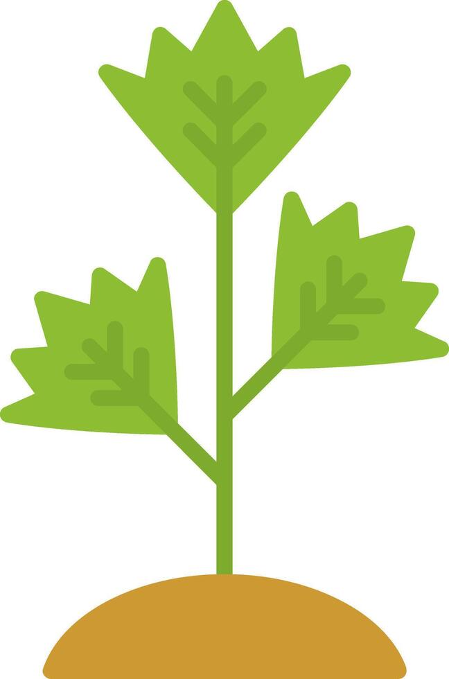 Parsley Flat Icon vector