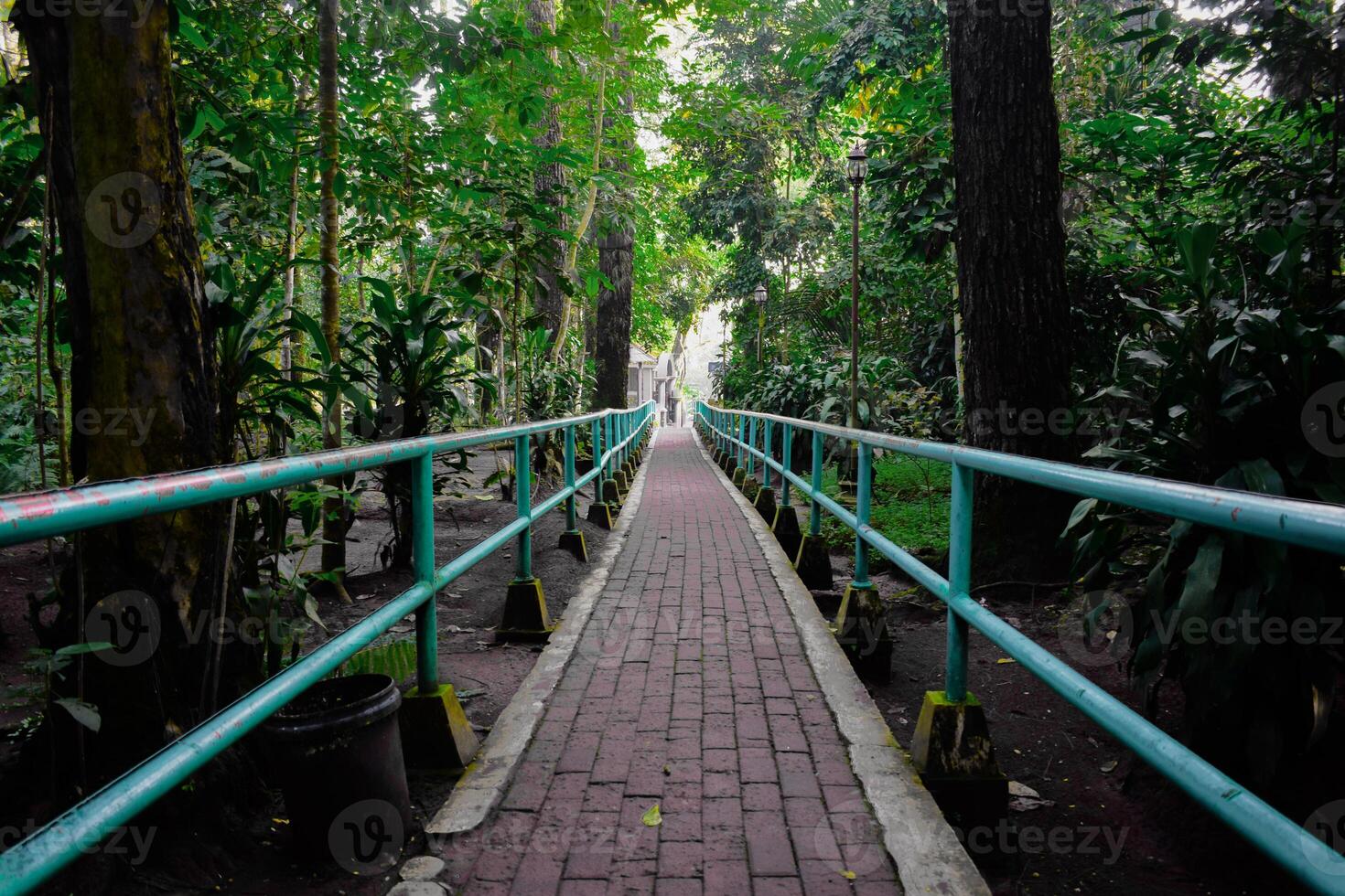 Peaceful garden pathway brick in green park, walk among trees and plants in a beautifully landscaped outdoor environment photo