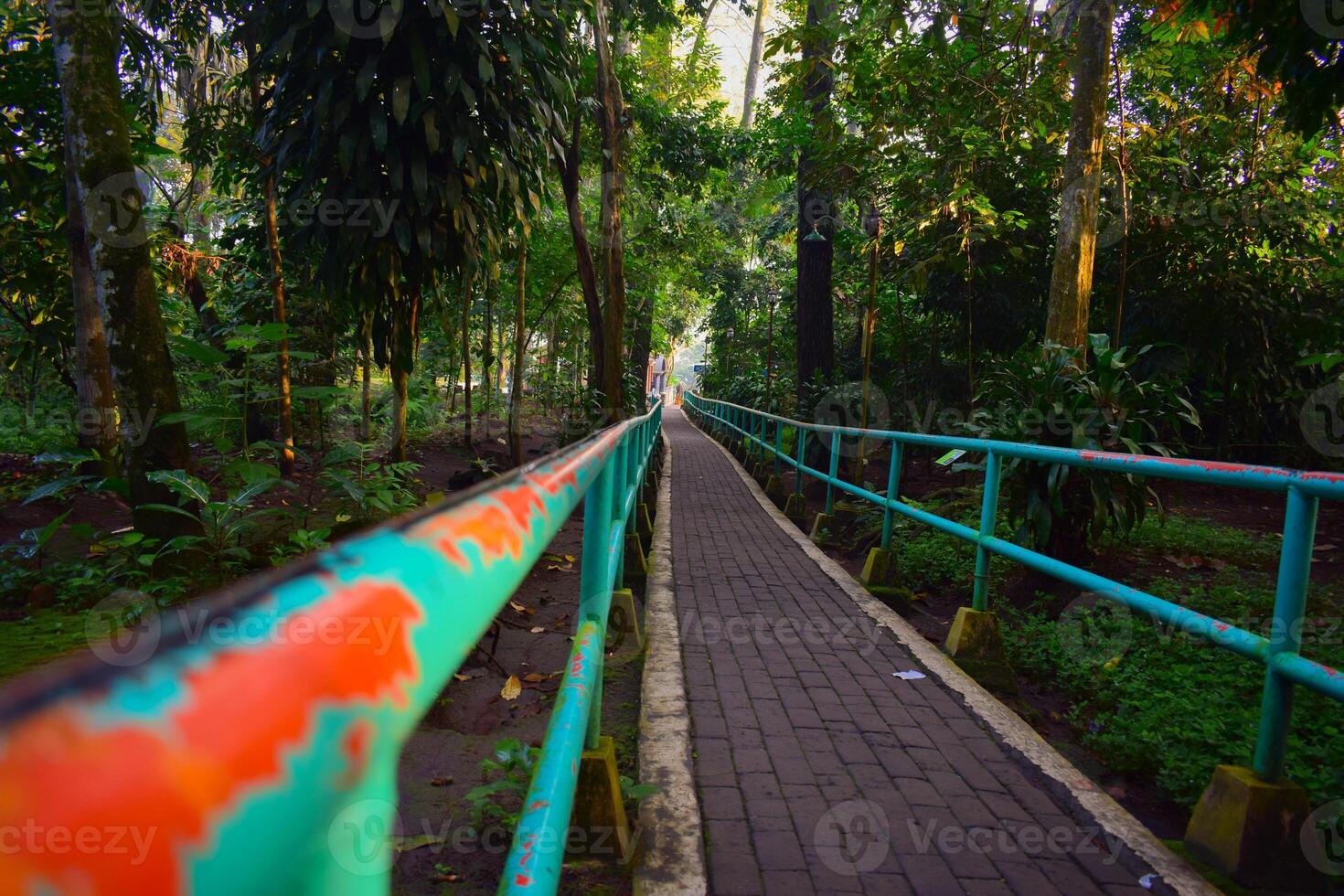 Peaceful garden pathway brick in green park, walk among trees and plants in a beautifully landscaped outdoor environment photo