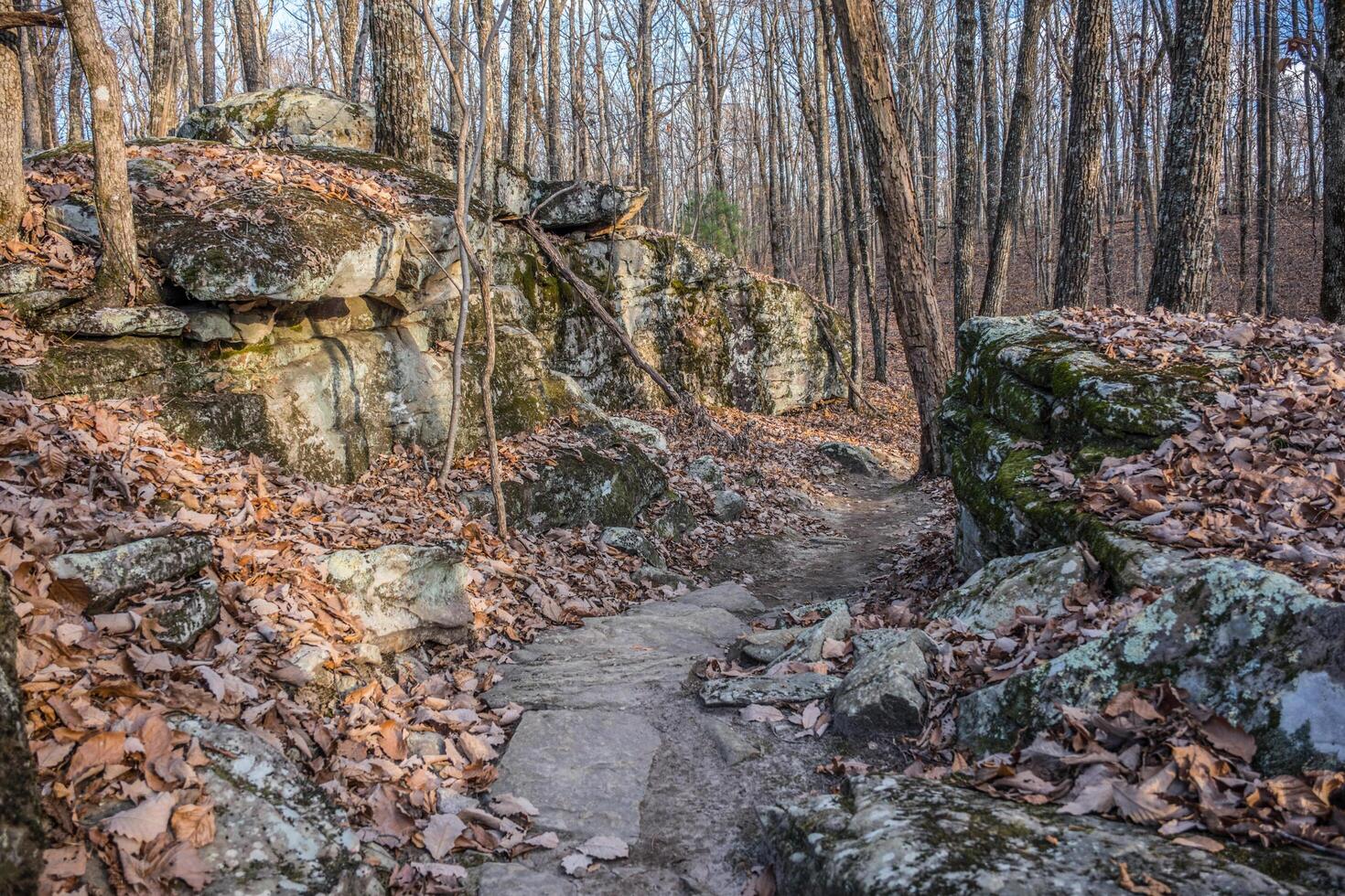 Hiking trail with boulders alongside photo