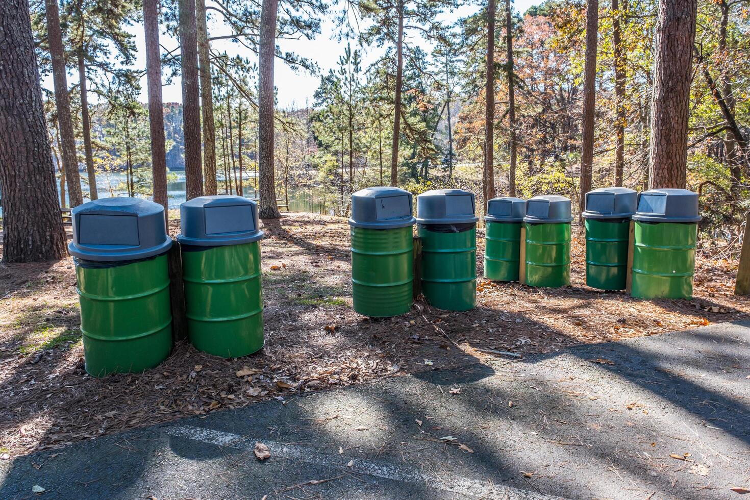 Garbage cans in a row photo