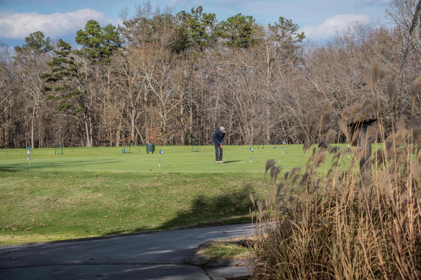 Golfer putting at a golf course photo