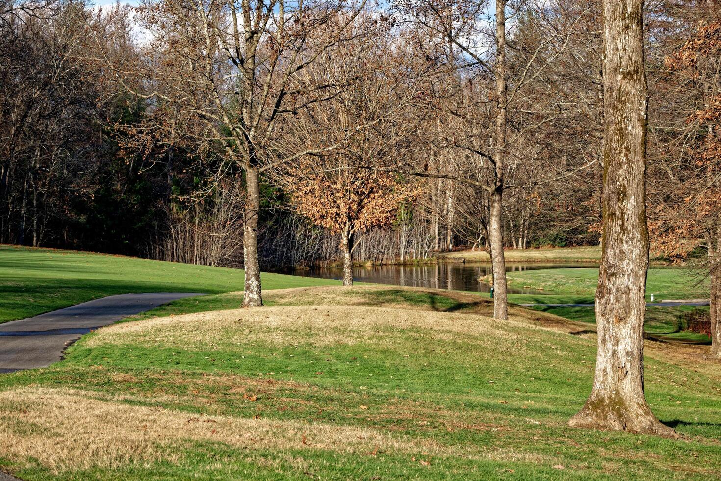 Walking path in a park photo