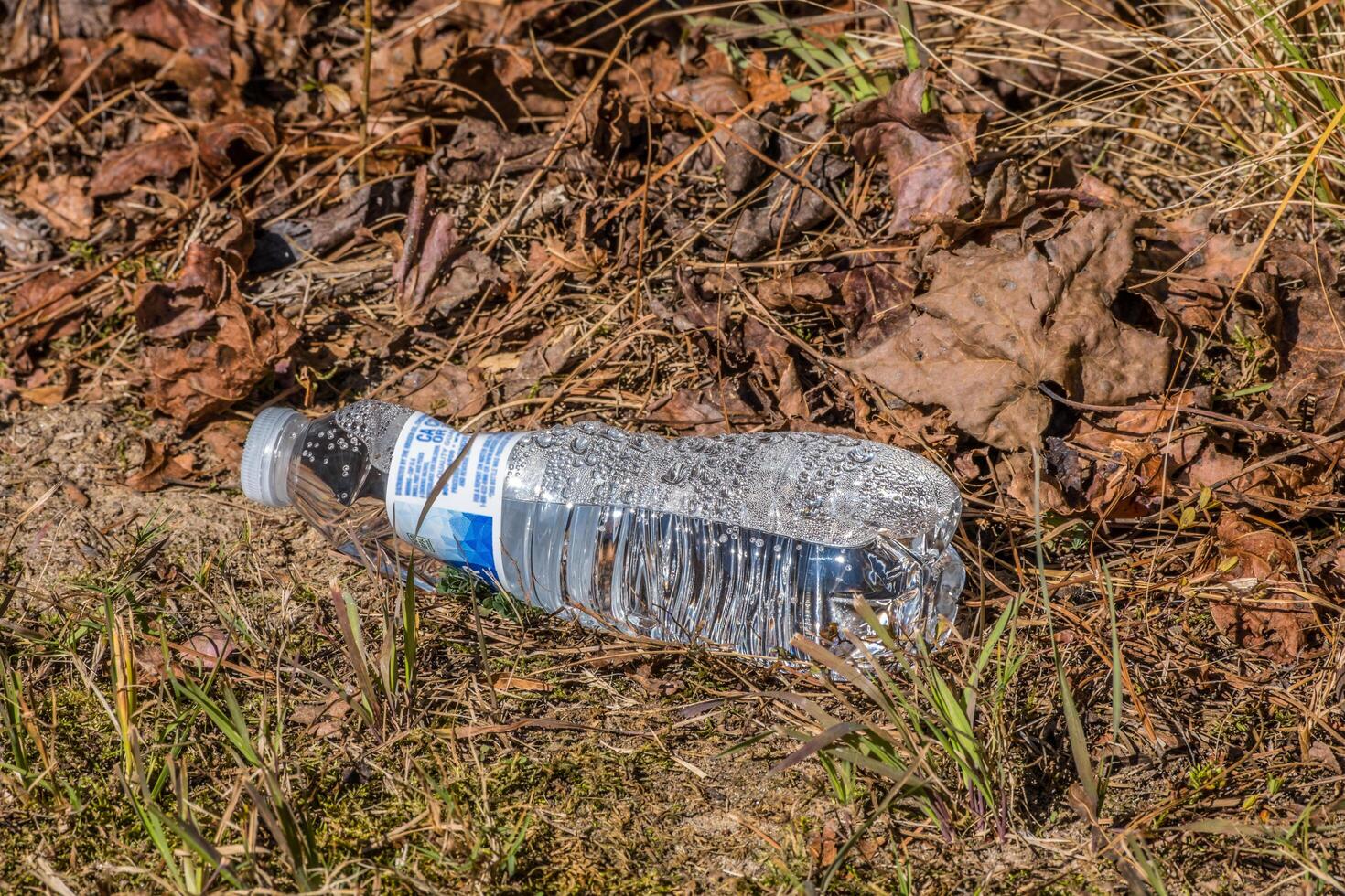 Plastic water bottle on the ground photo