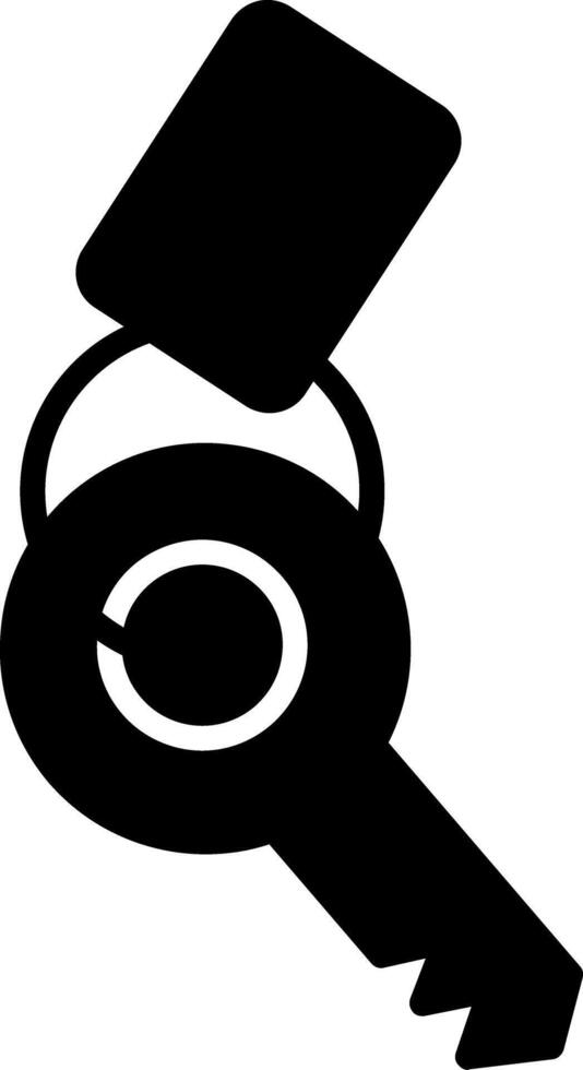 Keychain Glyph Icon vector