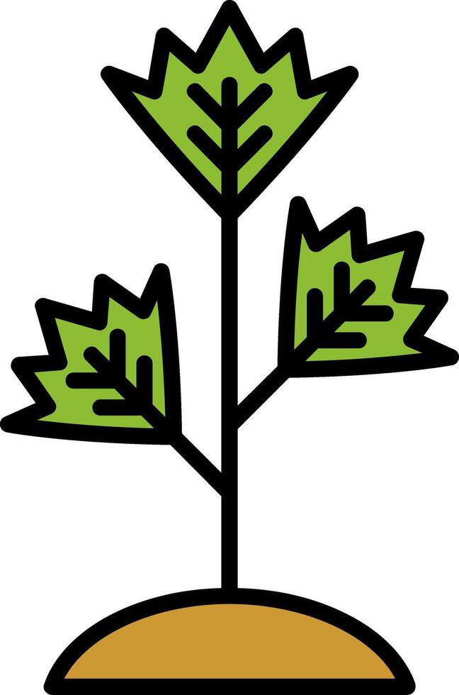Parsley Line Filled Icon vector