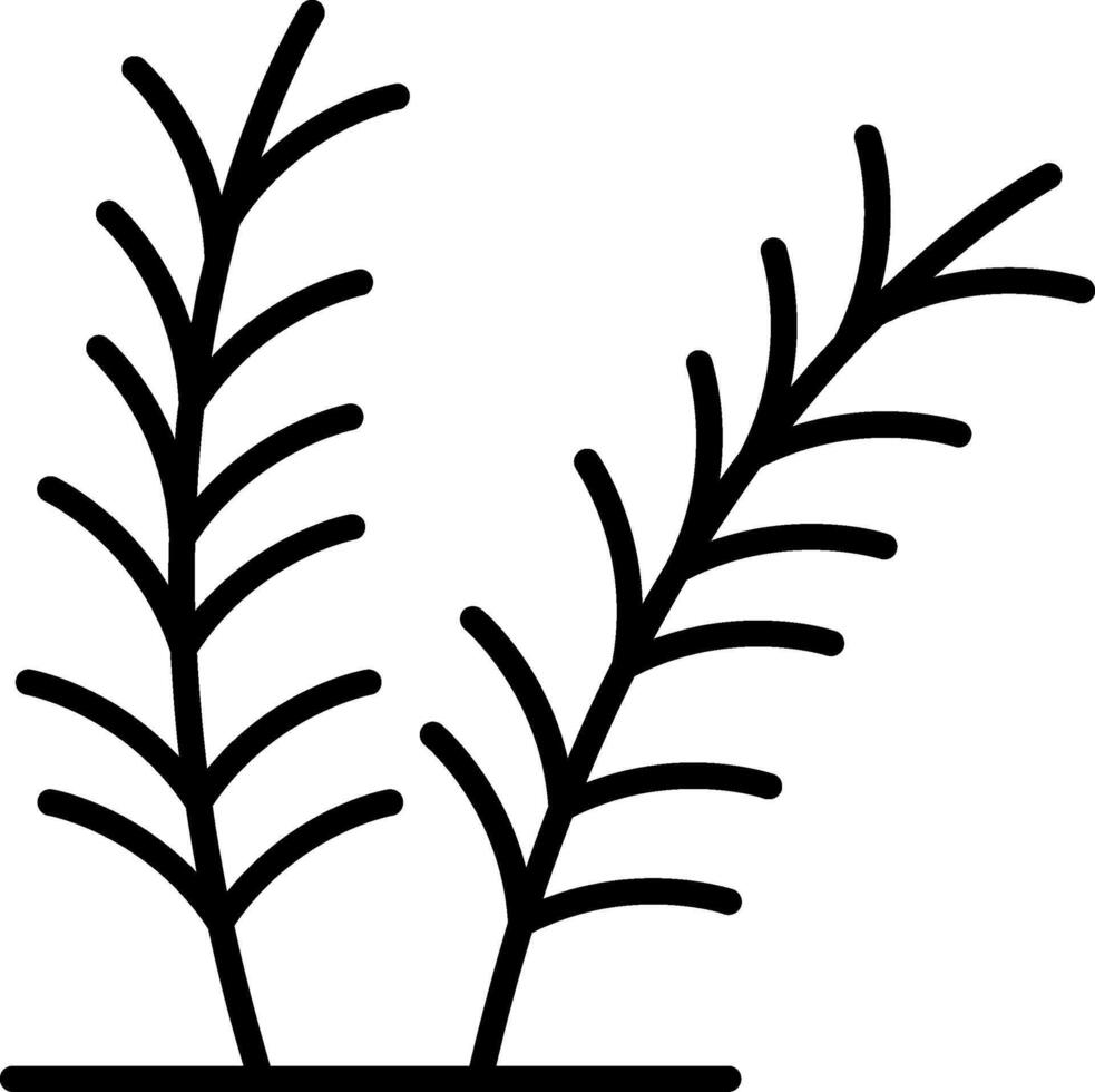 Rosemary Line Filled Icon vector