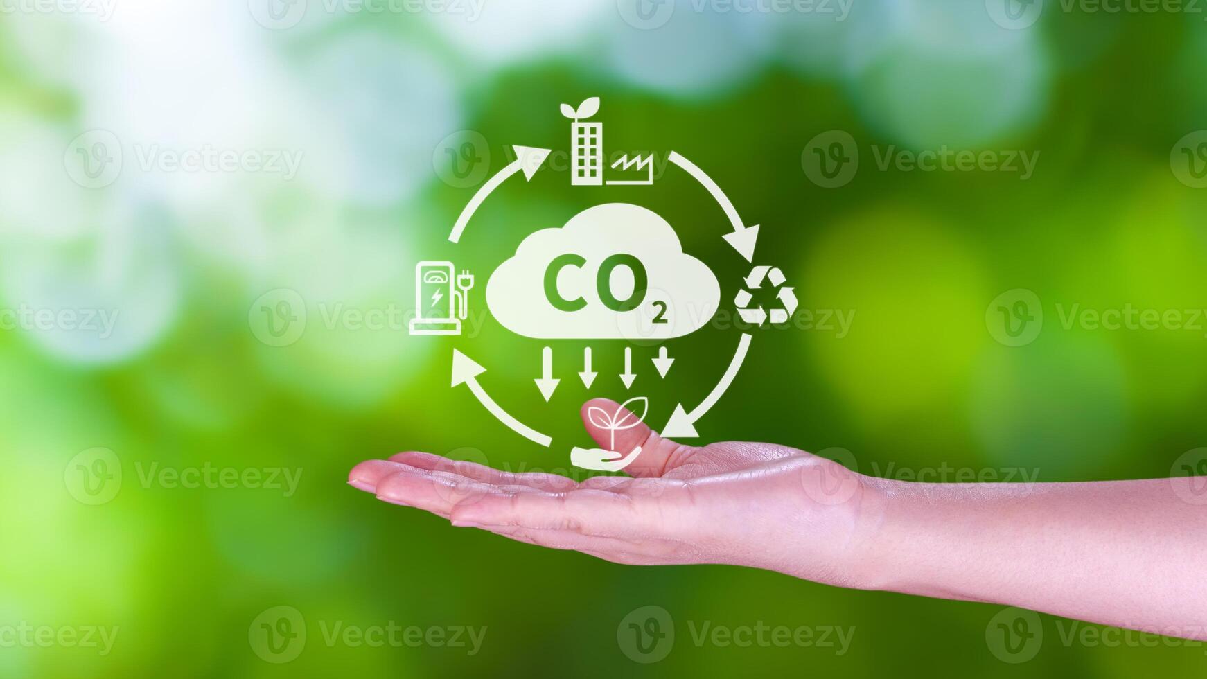 Hand holding CO2 reducing virtual icon for decrease carbon dioxide emission, carbon footprint and carbon credit to limit global warming from Bio climate change concept. photo