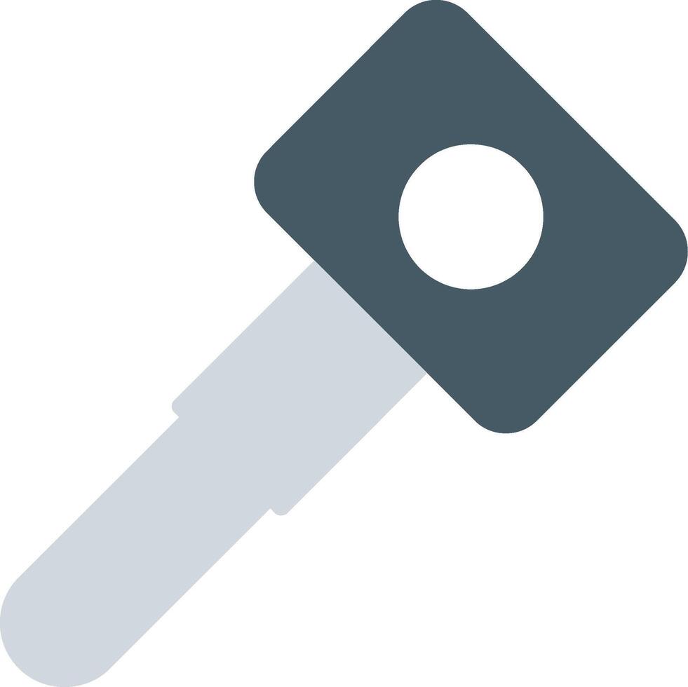 Car Key Flat Icon vector