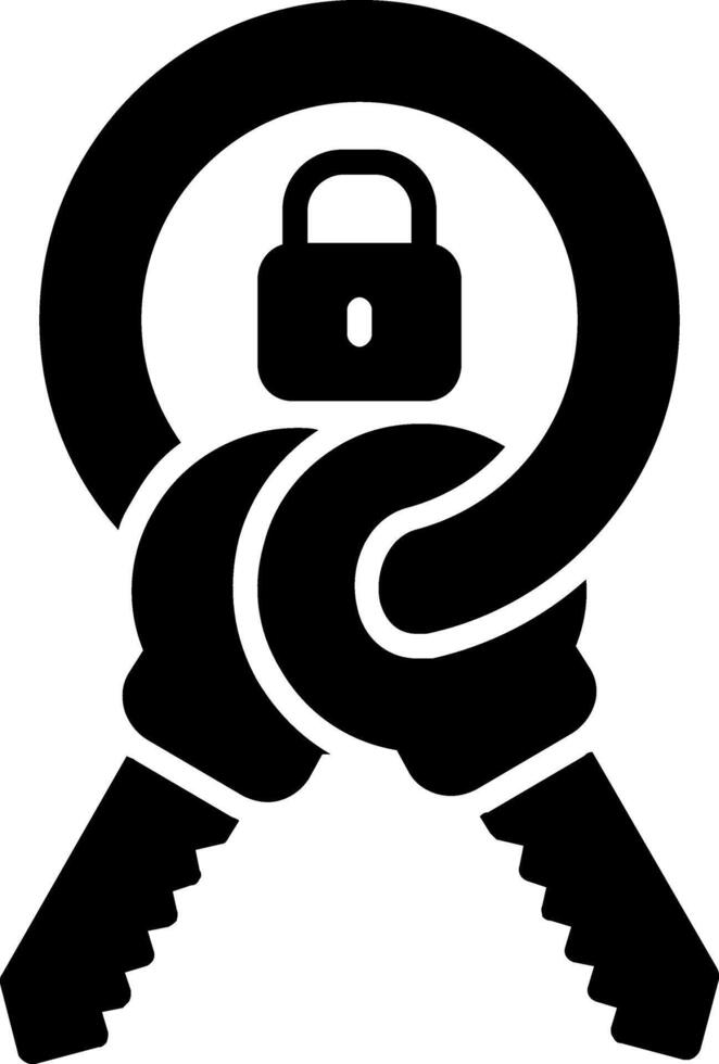 Keychain Glyph Icon vector
