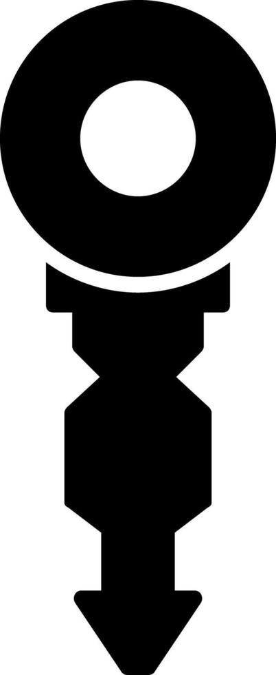 Key Glyph Icon vector