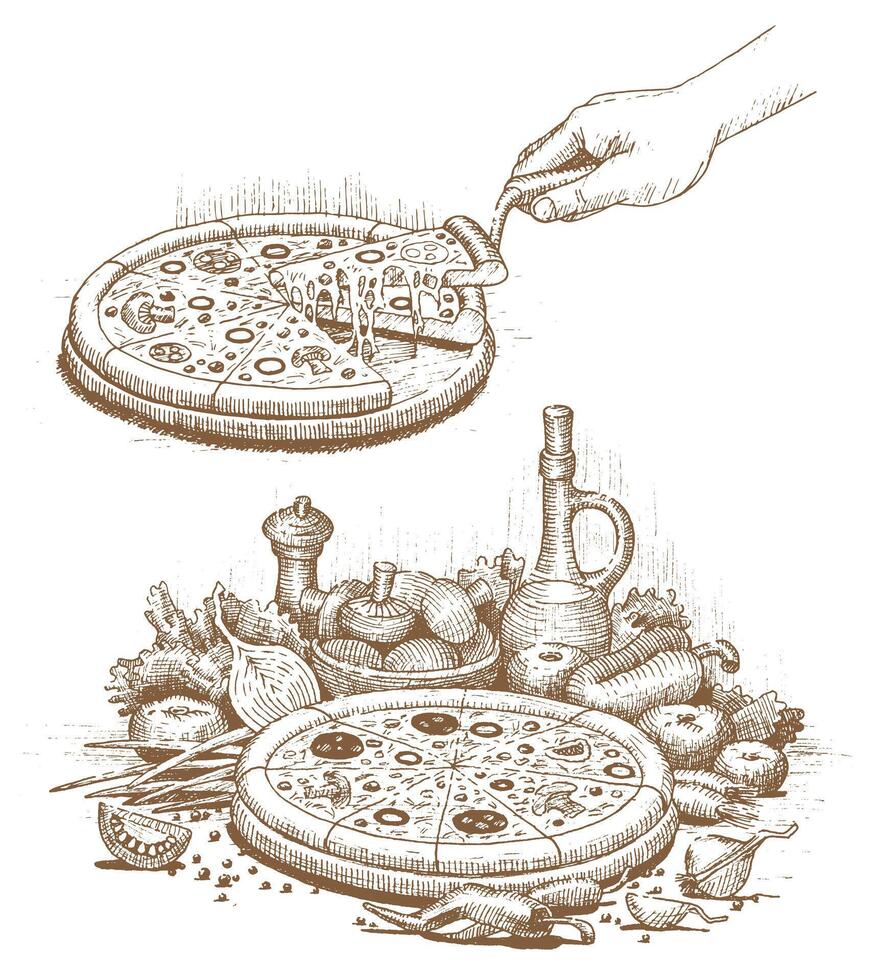Pizza with different products and cut pizza hand drawn vector