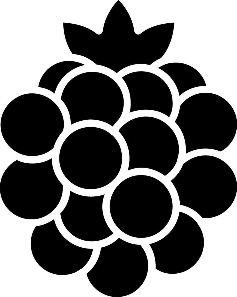 Rasperies Glyph Icon vector