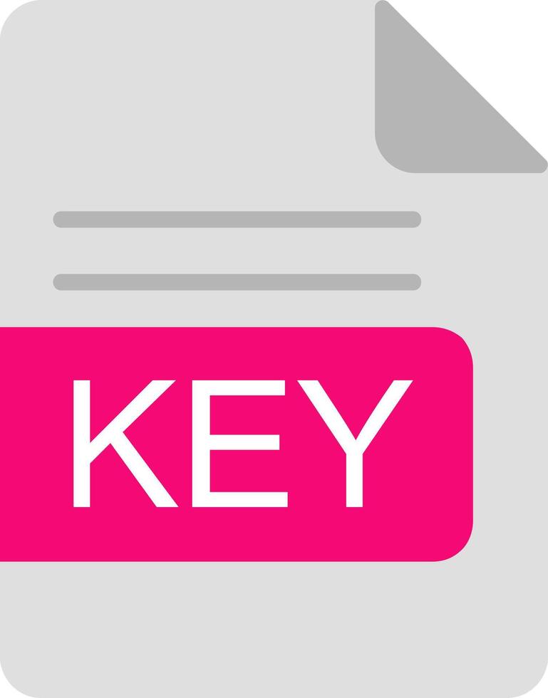 KEY File Format Flat Icon vector