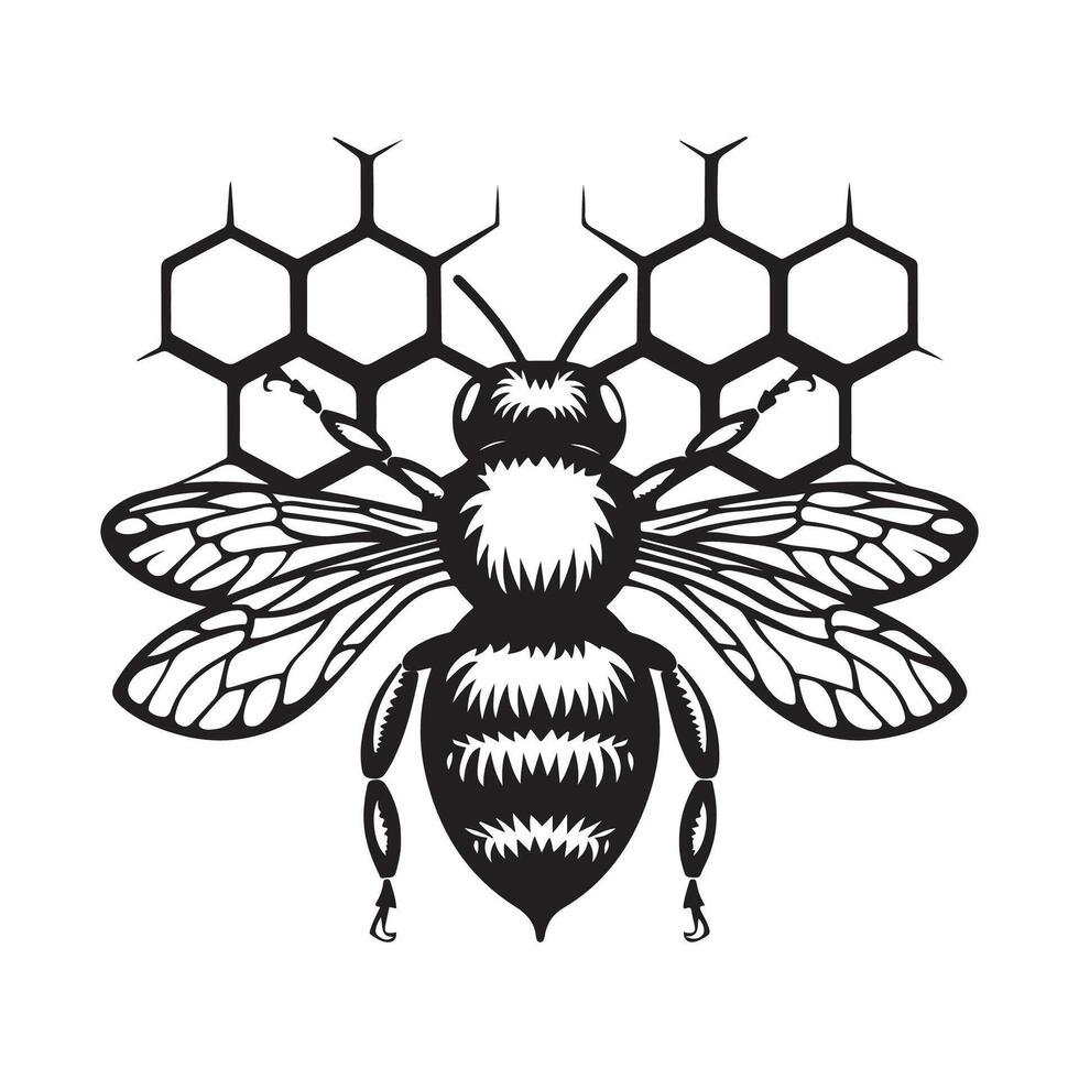 miel abeja diseño, arte, logo y ilustraciones aislado en blanco vector