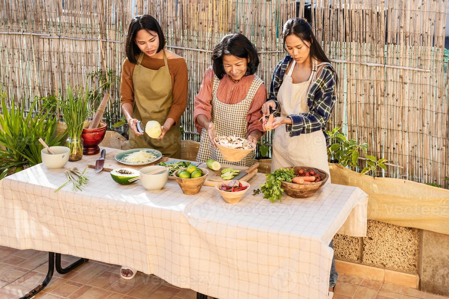 Southeast Asian mother and her daughters are having fun cooking a Thai food recipe together in the backyard photo