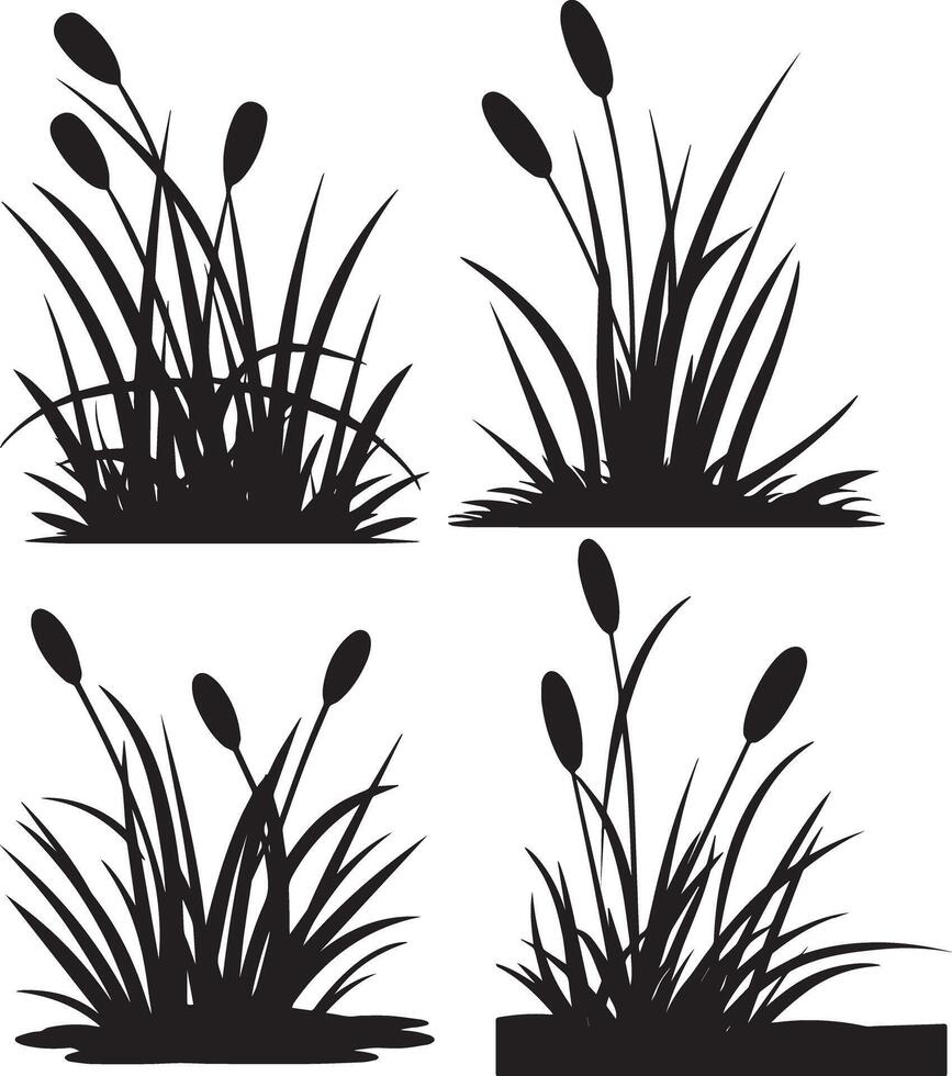 Silhouette Reed Plant Image vector