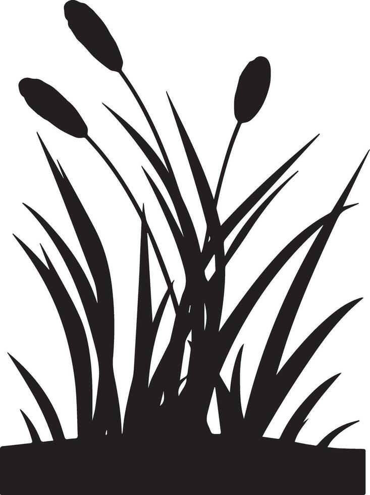 Silhouette Reed Plant Image vector