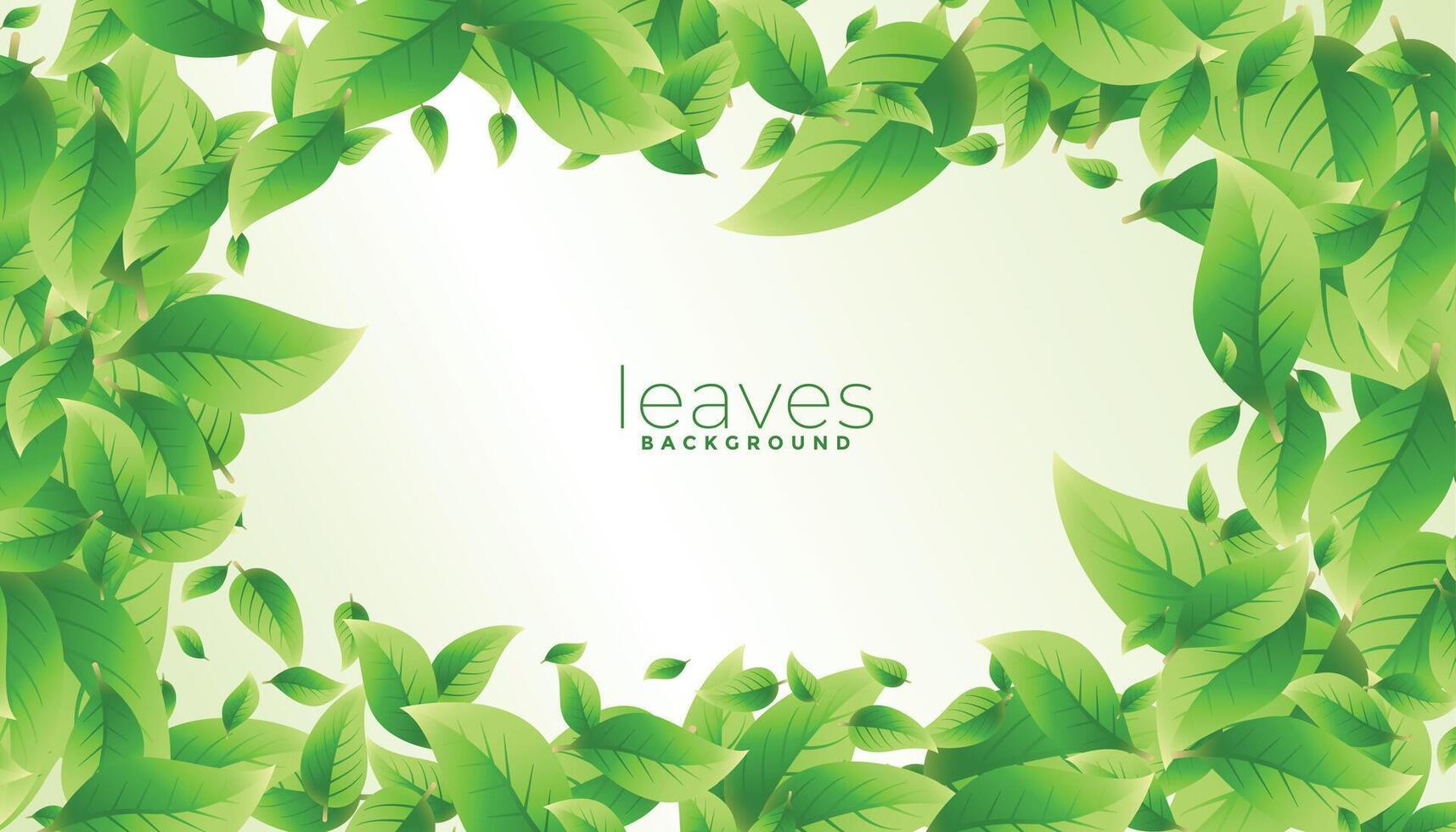 organic and fresh greenery leaves background design vector