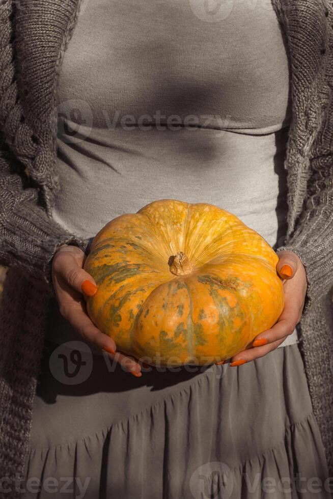 Ripe orange round pumpkin in women's hands photo