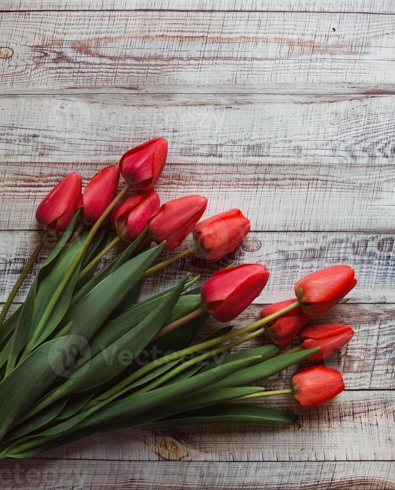 Red tulips with leaves lie on a wooden background photo