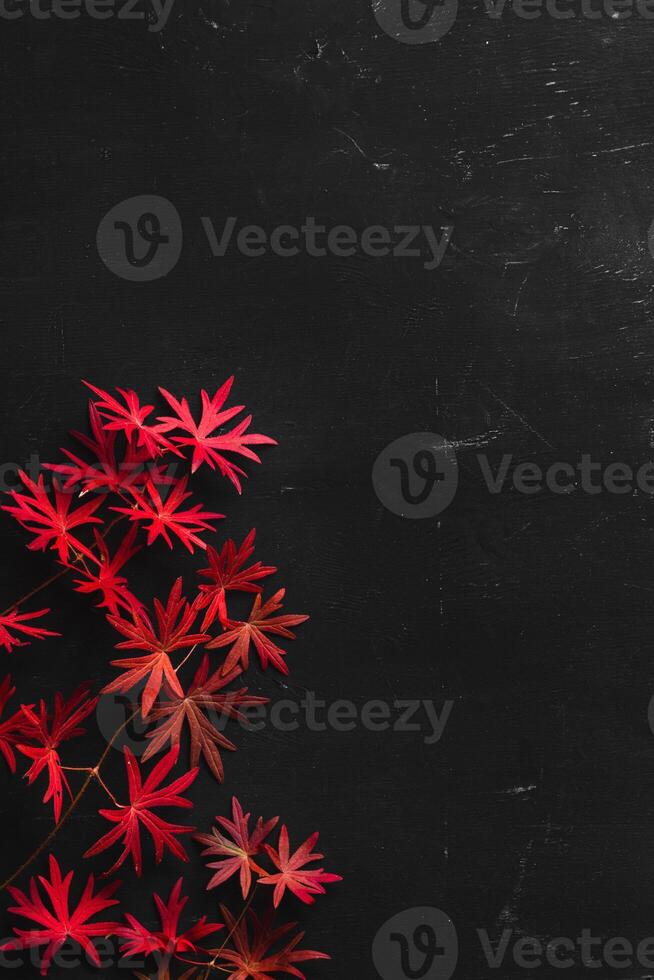A branch with red autumn leaves on a black board. Vertical image with copy space photo