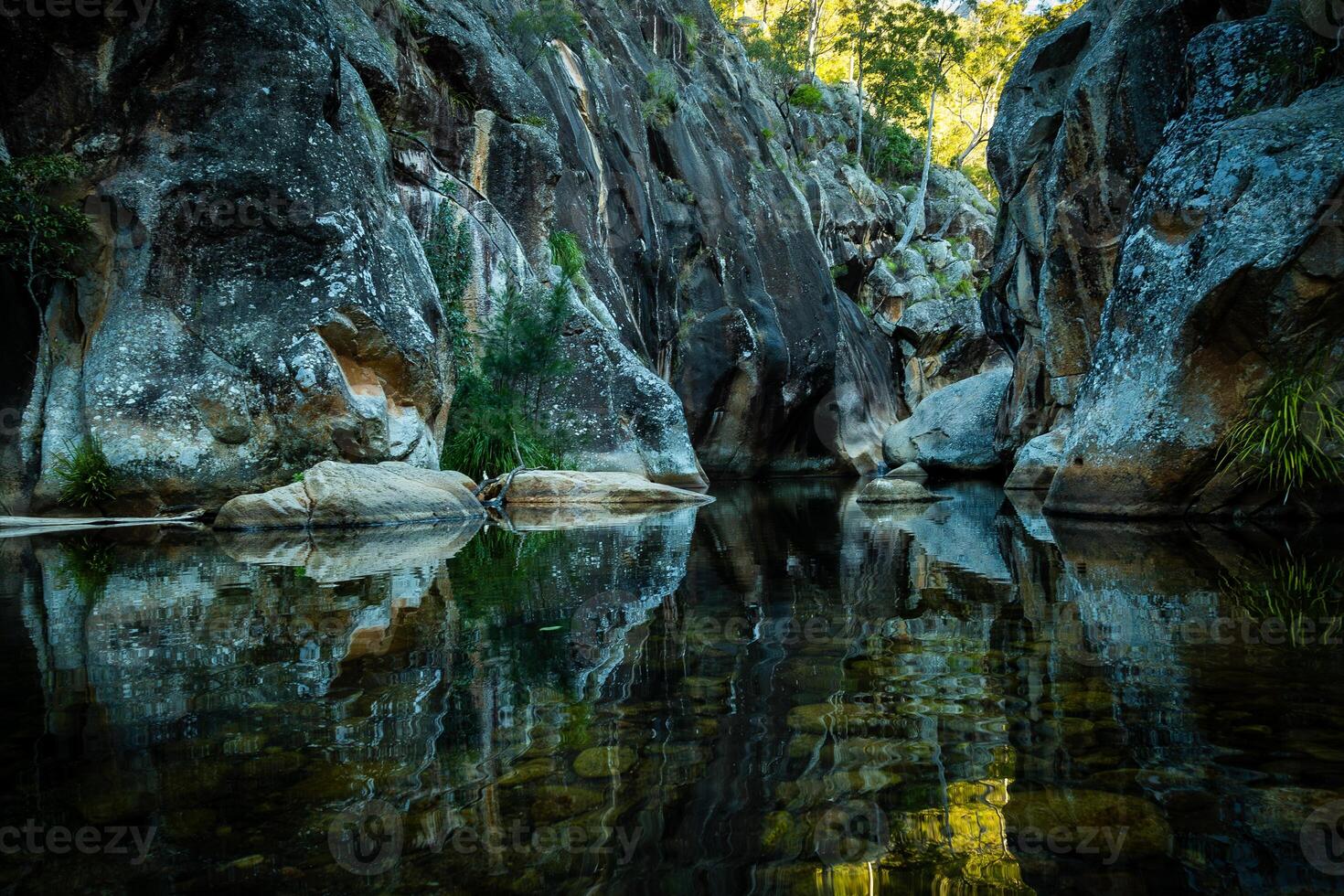 Tranquil River Reflections photo