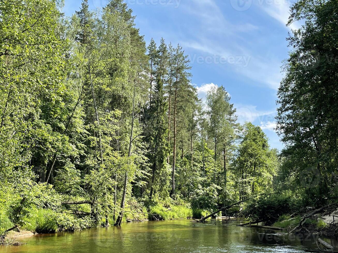 hermosa paisaje, pequeño río en el bosque foto